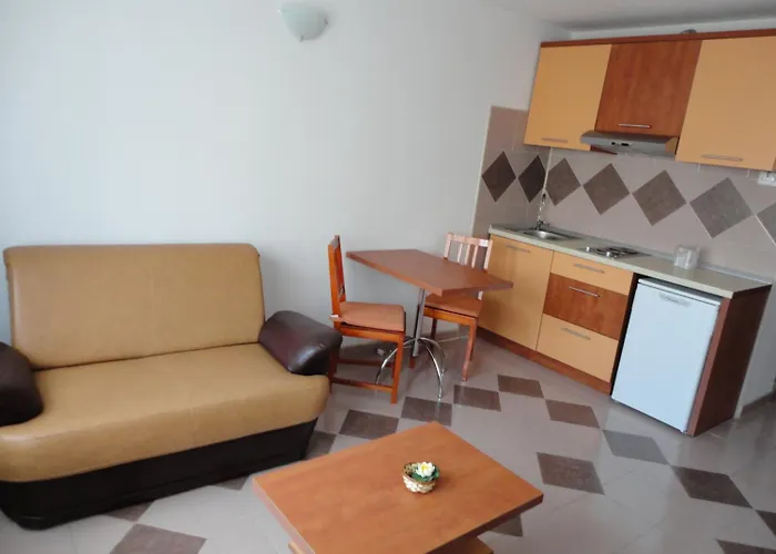 아리온 콘스탄차